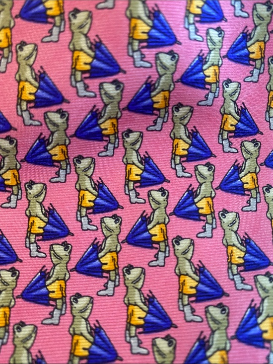 Huntington Other - Huntington Silk Pink Frog w Umbrella Tie
